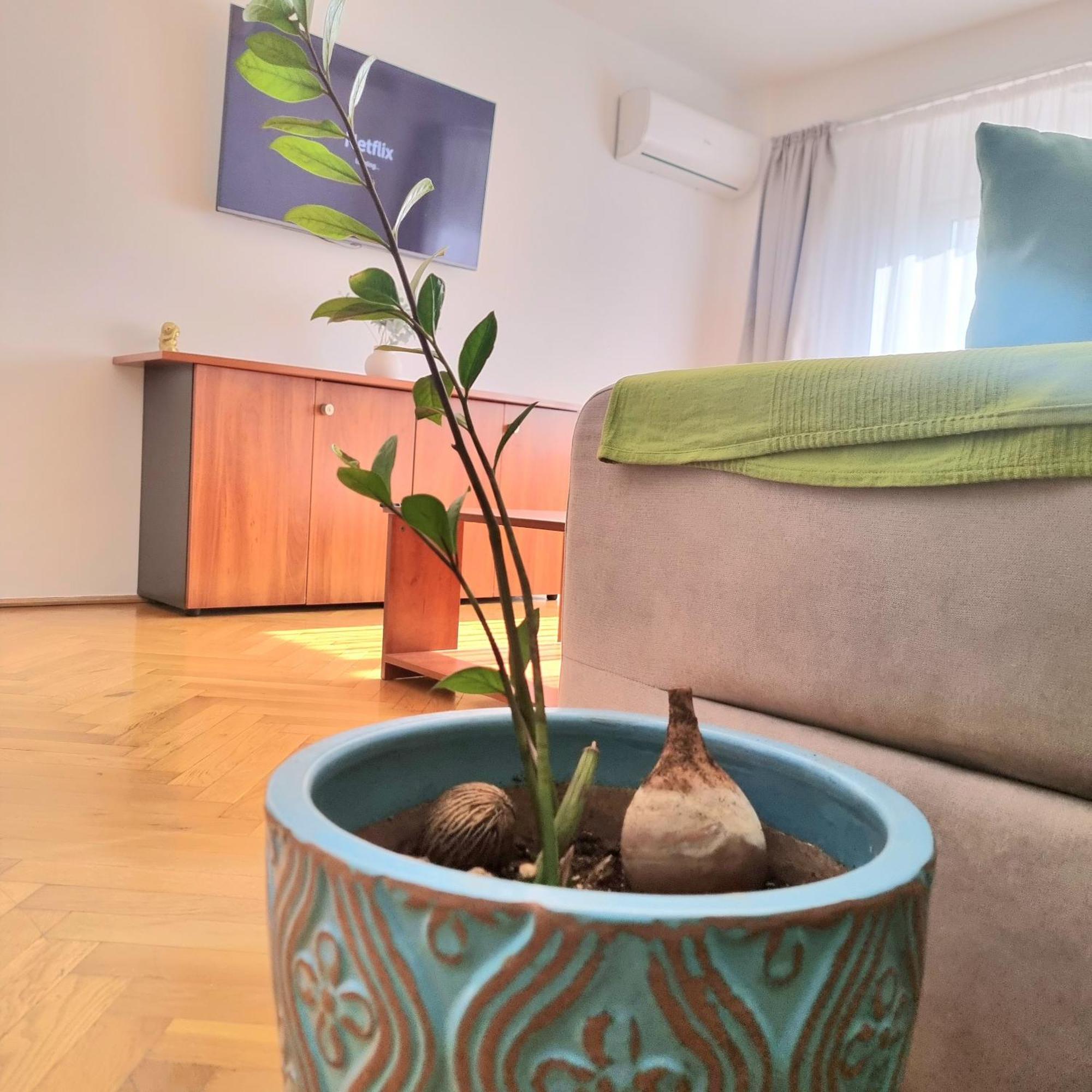 Tranquil Unirii Residence - Elegant & Spacious Living With Parking Steps From Parliament Bucureşti Exterior foto
