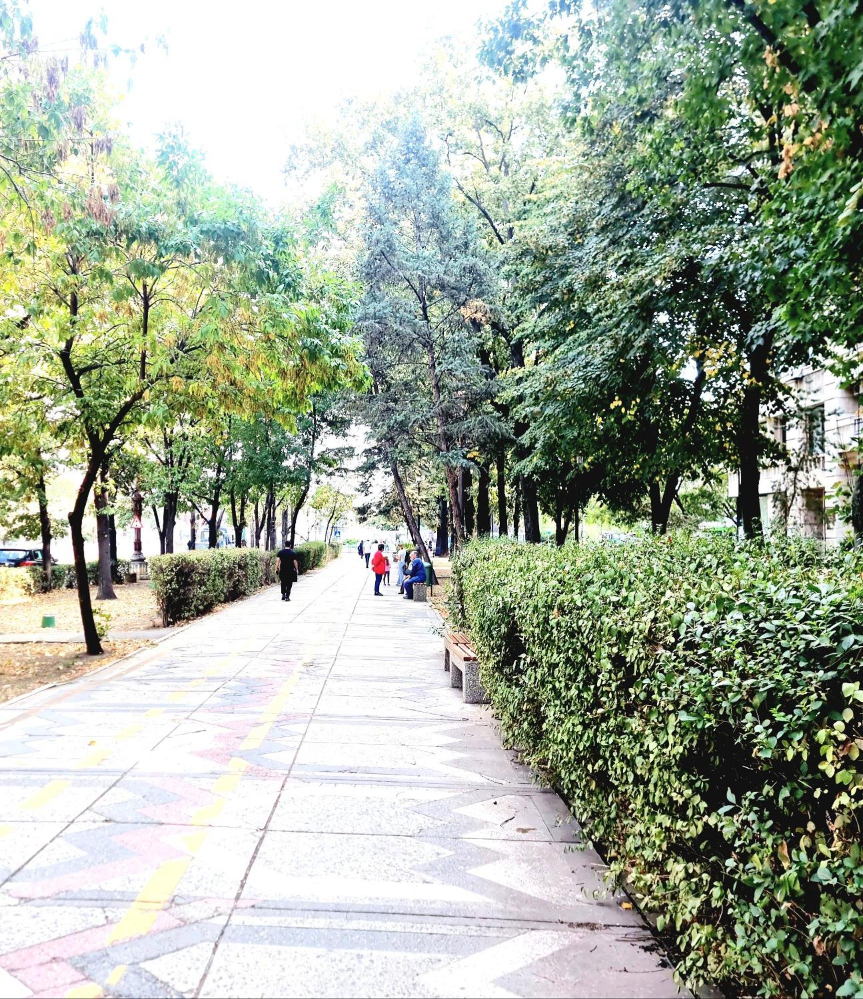 Tranquil Unirii Residence - Elegant & Spacious Living With Parking Steps From Parliament Bucureşti Exterior foto